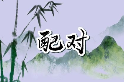 星座与八字：两套语言